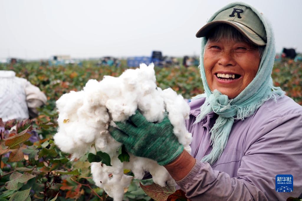 李逵捕鱼游戏下载大全